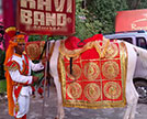 Band Ghori services