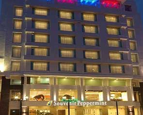 Souvenir Peppermint Hotel Jaipur - GetYourVenue