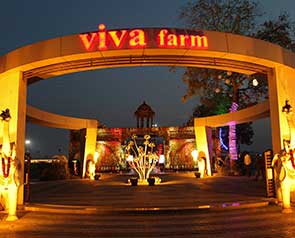 Viva Farm - GetYourVenue