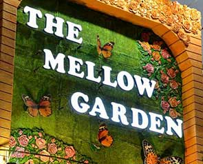 The Mellow Garden - GetYourVenue