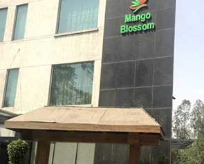 VITS Mango Blossom - GetYourVenue
